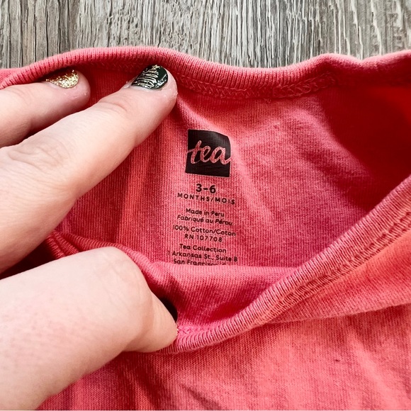 Tea Collection Super Stego Graphic Tee - Picture 4 of 5